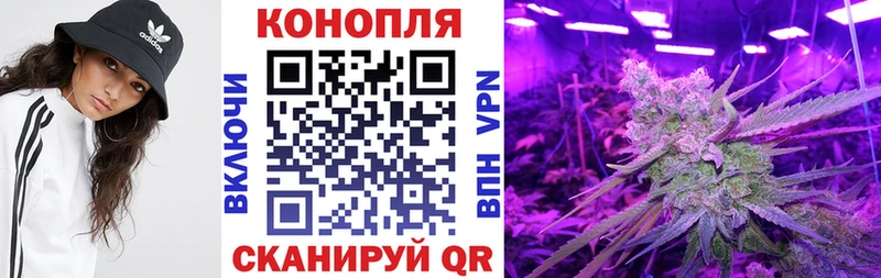 Хочу наркоту Берёзовский Гашиш  АМФ  Alpha PVP  Мефедрон  КОКАИН  Галлюциногенные грибы  Канабис 