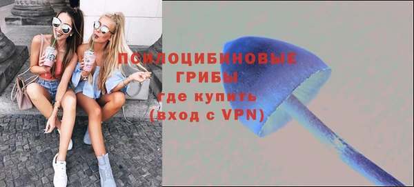 марки nbome Богданович