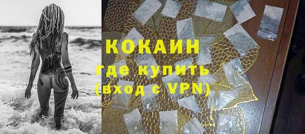 твердый Богородицк