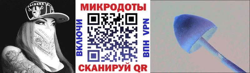 Галлюциногенные грибы MAGIC MUSHROOMS  Берёзовский 